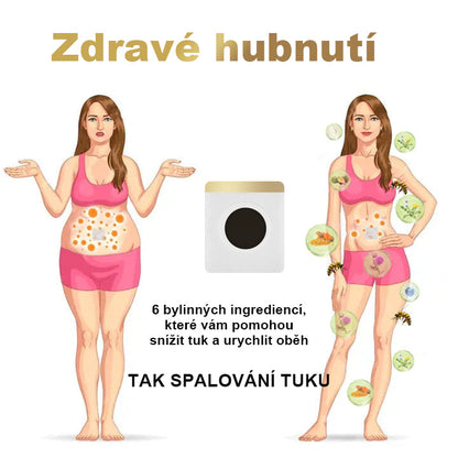 🔥50% sleva - [CE Certifikace] 🐝XRLXRL™ Méhméreg Lymphatic Detox Hubnoucí Náplast